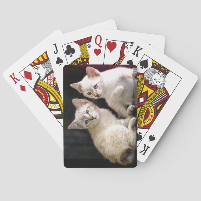 Baralho Dois Mekong Bobtail Tabby Point Kittens (Verso)