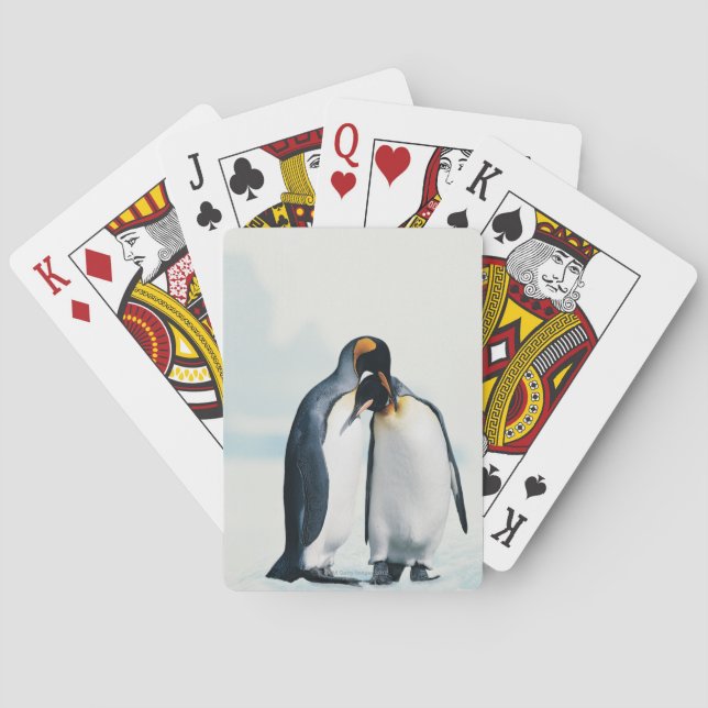 Baralho Dois pinguins afetivos (Verso)