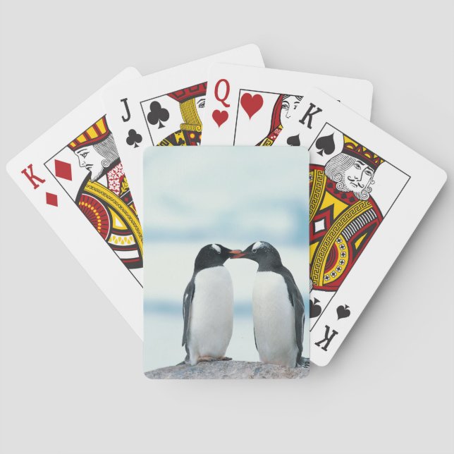 Baralho Dois pinguins que tocam nos bicos (Verso)