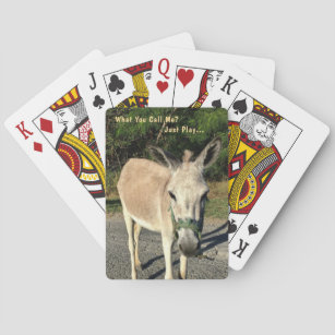 Três Burro Cartas De Jogar Victorian De Famílias Jogo - Arte vetorial de  stock e mais imagens de Burro - iStock