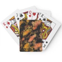 Dourada Borboleta Encruzada