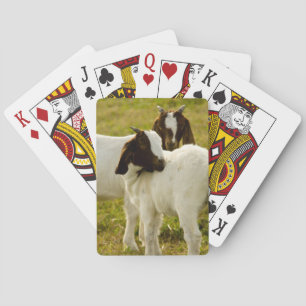 Baralho Duas Cabras