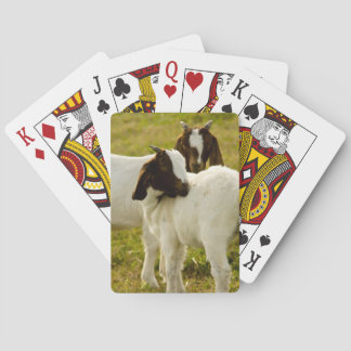 Baralho Duas Cabras