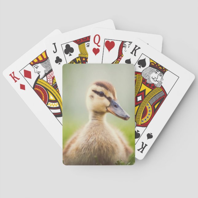 Baralho Ducking do pato selvagem do bebê (Verso)
