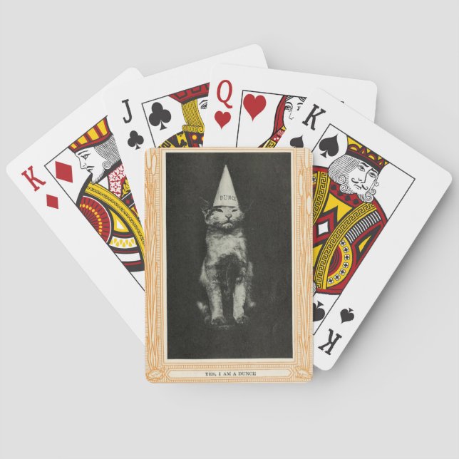 Baralho Dunce cat jogando cartas (Verso)