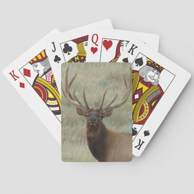 Baralho E10 Bull Elk em Velvet Head Shot (Verso)