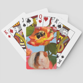 Baralho É ido ainda? A cobaia que esconde da abelha em