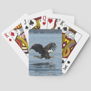 Baralho Eagle na aproximação