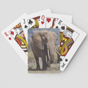 Baralho Elefante mãe andando com filhote de elefante