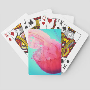 Baralho Elevada ameaça jogando cartas. A geleia