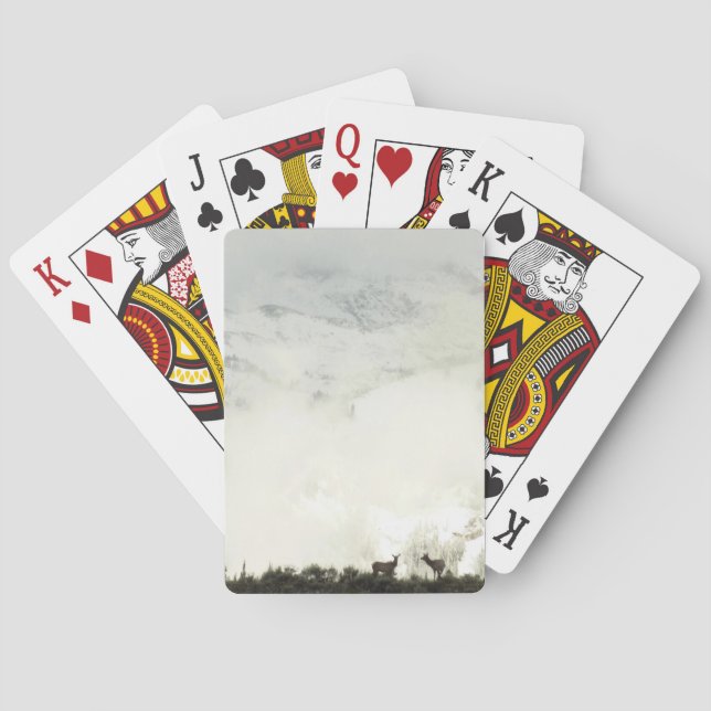 Baralho Elk no Grand Teton National Park Fotografia (Verso)