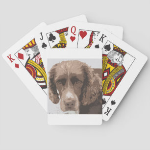 Baralho English Springer