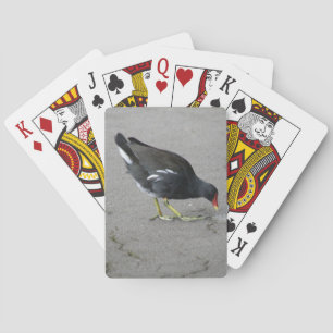 Baralho Engraçado Moorhen Tome um Arco Jogando Cartões