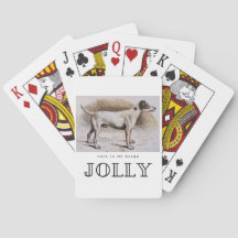 Engraçado, sou eu sendo o Jolly, esse Cachorro não