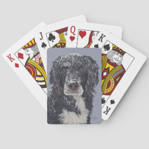Baralho Espanhol mistura retrato de animais