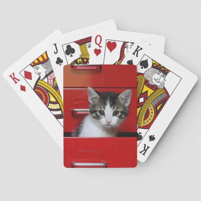 Baralho Espreitar do gatinho (Verso)