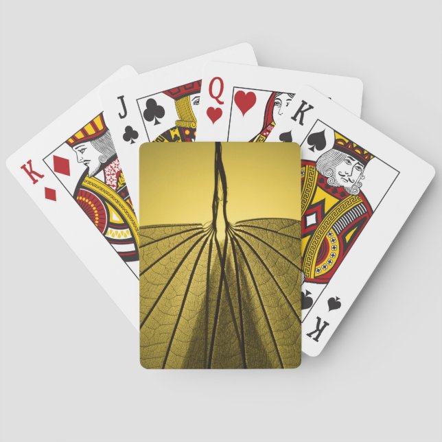 Baralho Esqueleto da folha (Verso)