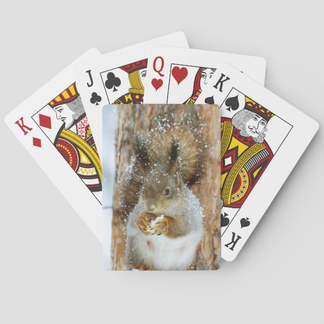 Baralho Esquilo bonito numa paisagem de inverno (Verso)