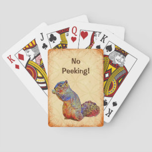 Baralho Esquilo Bonito Segurando Cartões Engraçados