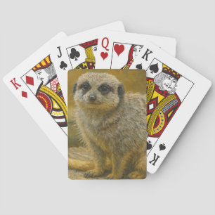Baralho Estilidade vigilante - Retrato Realista Meerkat