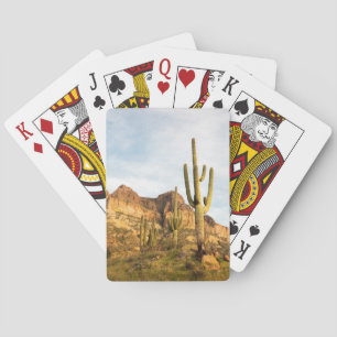 Baralho EUA, Arizona, Tonto National Forest, Picketpost 2