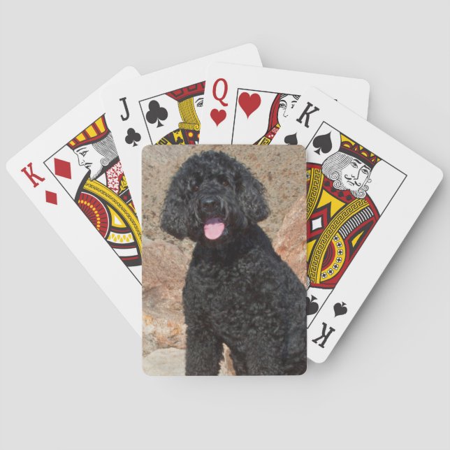 Baralho EUA, Califórnia. Labradoodle Cuidando (Verso)