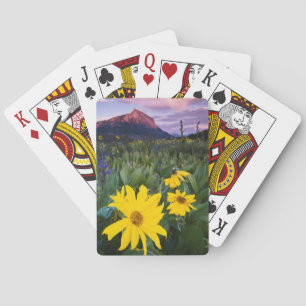 Baralho EUA, Colorado, Mt. Crested Butte