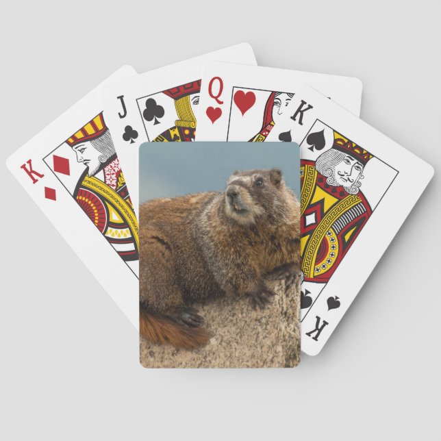 Baralho EUA, Colorado, San Juan Mountain 2 (Verso)