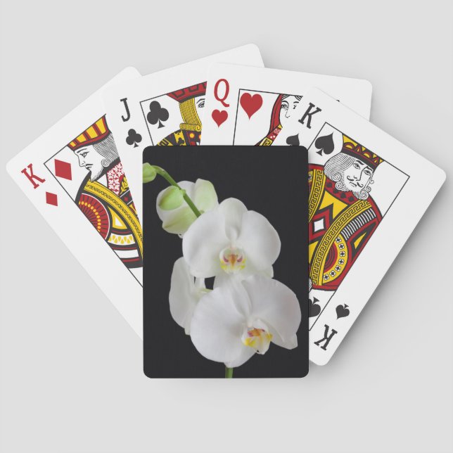 Baralho EUA, Geórgia, Savannah, Conjunto de Orquídeas (Verso)