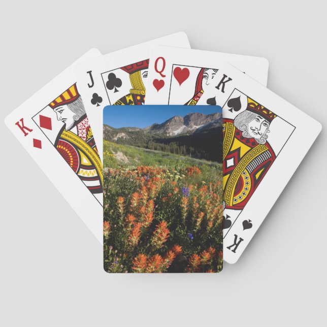 Baralho EUA, Utah, Floresta Nacional de Cache de Uinta-Was (Verso)