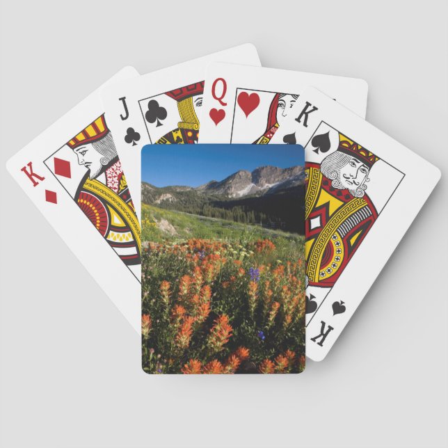 Baralho EUA, Utah, Floresta Nacional Uinta-Wasatch-Cache (Verso)