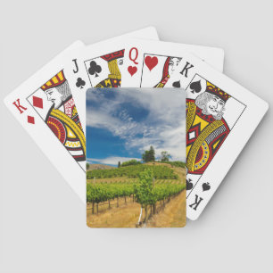 Baralho EUA, Washington, Lago Chelan. Vinhedo 3