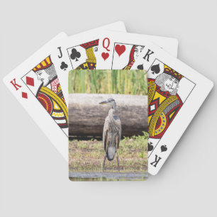 Baralho Excelente Blue Heron no lago Champlain