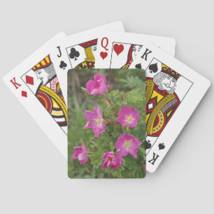 Baralho F46 Rosas Silvestres