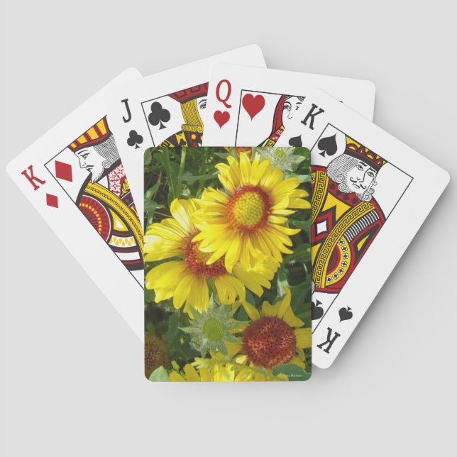 Baralho F6 Flores Silvestres Amarelas Gaillardia (Verso)