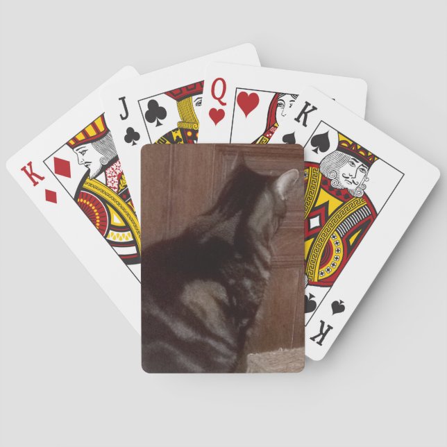 Baralho Fale com o Dave traseiro (Verso)