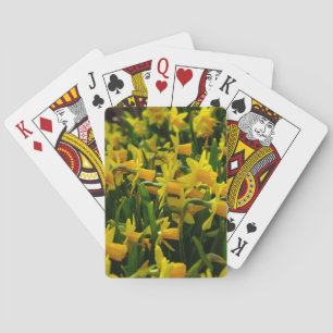 Baralho Família Daffodil