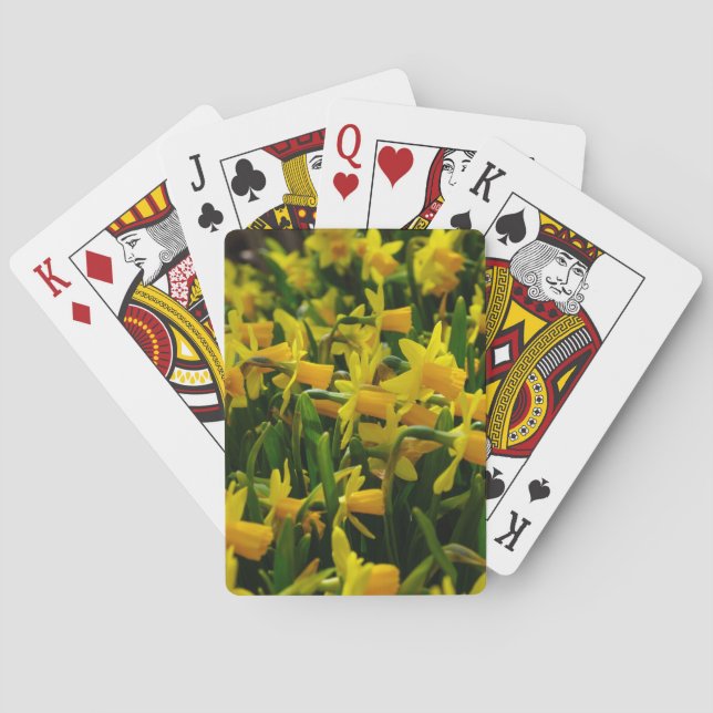 Baralho Família Daffodil (Verso)