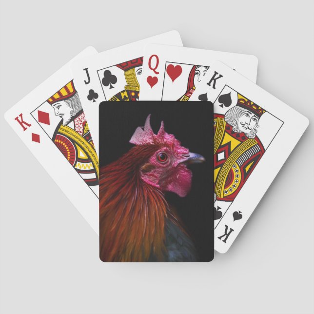 Baralho Fazendas | Captura De Cabeça De Galo (Verso)