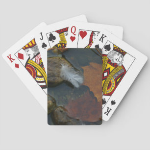 Baralho Febre Branca