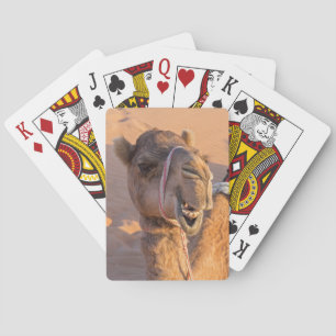 Baralho Fechamento da cabeça de camelo engraçada no desert