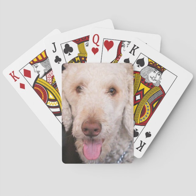 Baralho Felpudo (Verso)