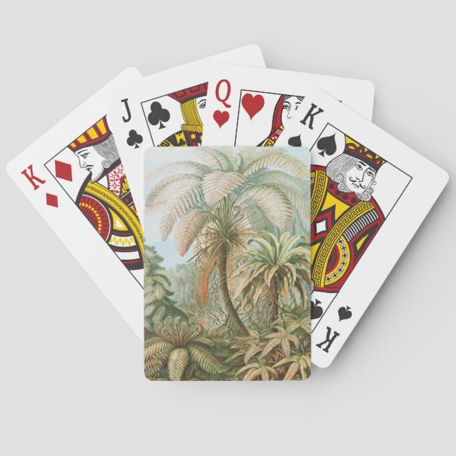 Baralho Ferns, Filicinae Laubfarne por Ernst Haeckel (Verso)