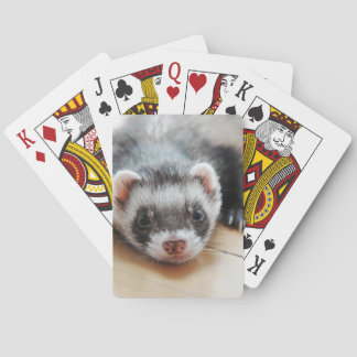 Baralho Ferret Boco Sable