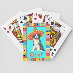 Baralho Festa border collie