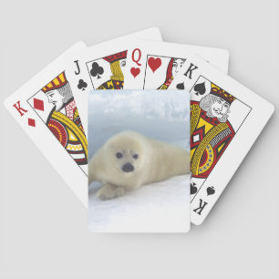 Baralho Filhote de cachorro de selo