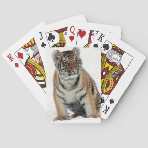 Baralho Filhote de Tigre na Fotografia de Neve