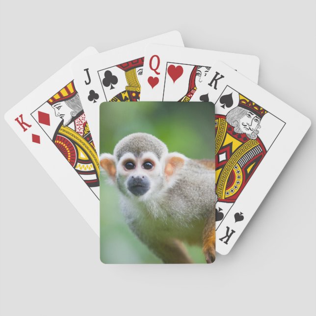 Baralho Fim-acima de um macaco de esquilo comum (Verso)