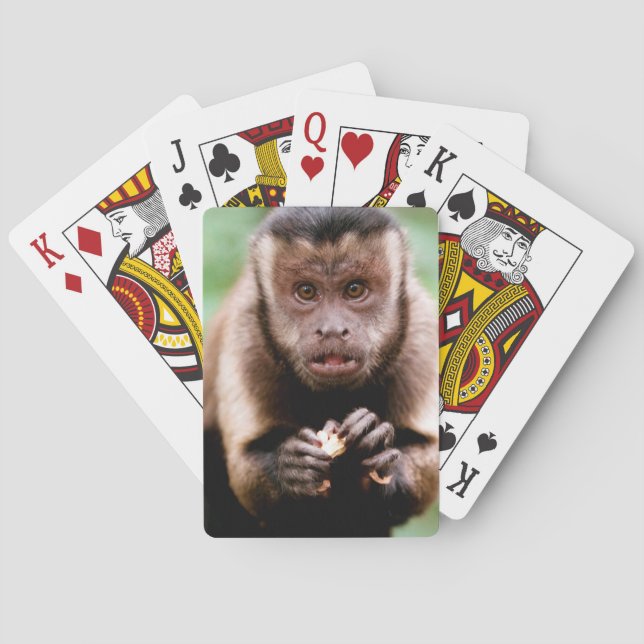 Baralho Fim-acima de um macaco preto-tampado do capuchin (Verso)