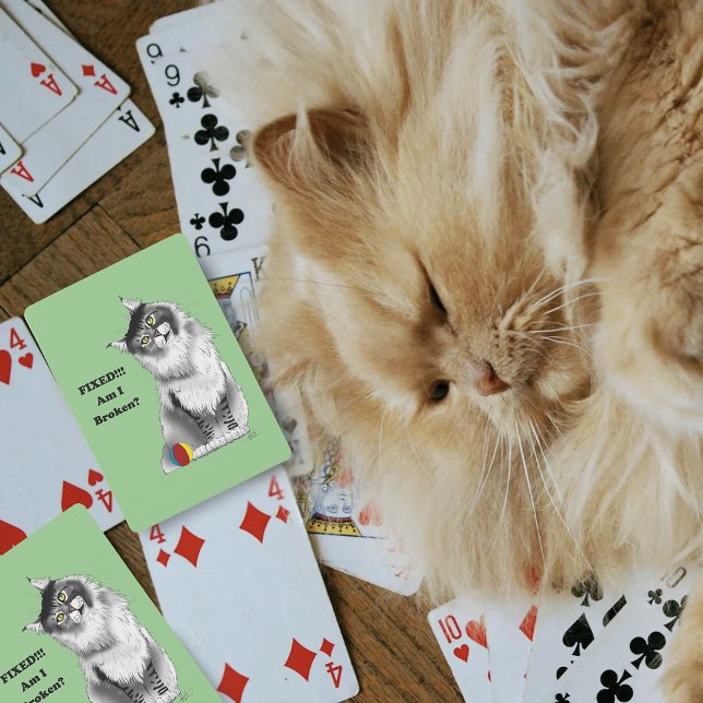 Baralho Fixed Kitty (Criador carregado)